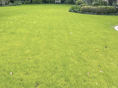 Lawn Preparation Tips, New Orleans, LA