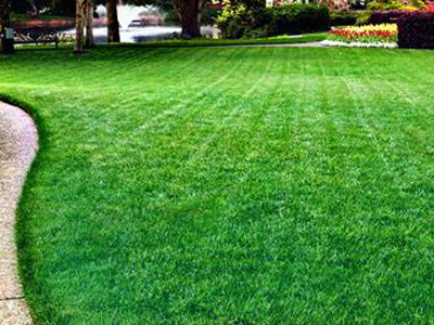 Lawn Treatments, New Orleans, LA
