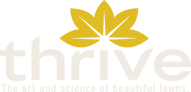 Thrive Landscape Management