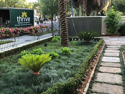 Thrive Landscape, New Orleans, LA