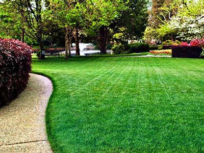 Lawn Service Liverpool Ny