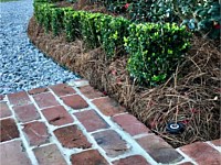 Landscaping Photos