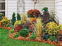 Landscaping Photos