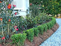 Landscaping Photos