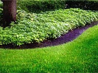 Lawn Maintenance Photos