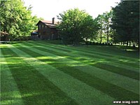 Lawn Maintenance