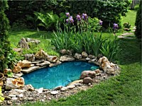 Completed Landscaping Photos