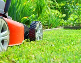 icLawn Maintenance