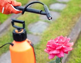 icLawn Treatments