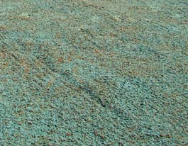 icHydroseeding